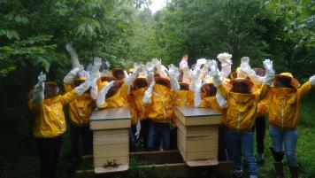 ruches prevues en avril