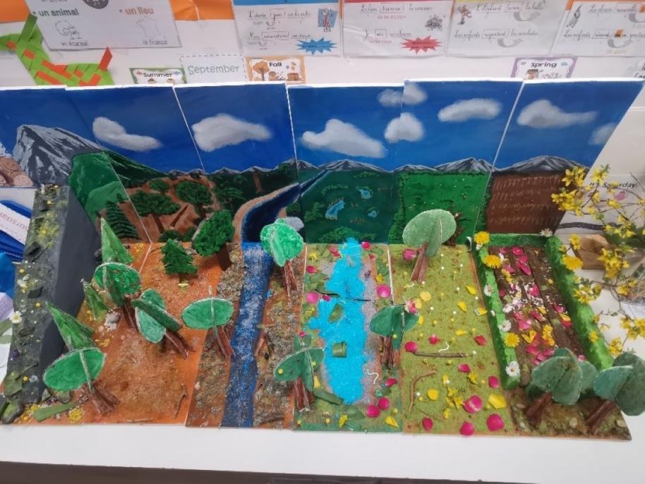 Ensemble des 6 maquettes des écosystèmes existants en France réalisées par le groupe école.